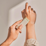 Beauty of Joseon Matte sun stick: Mugwort+Camilia 18 g