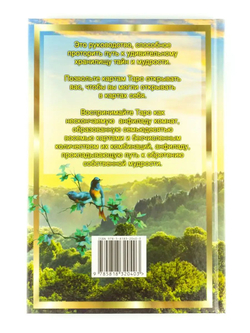 Новое руководство по картам Таро. Овладейте значениями карт
