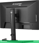 Монитор Iiyama G-Master GB2445HSU-B1
