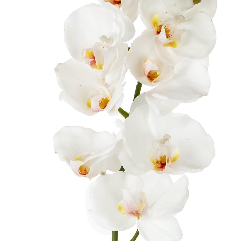 GAEM Цветок искусственный "Орхидея", L15 W9 H80 см