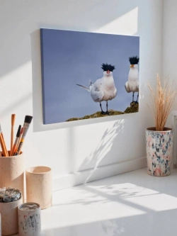 Картина на стену 40 X 50 Птица крачка