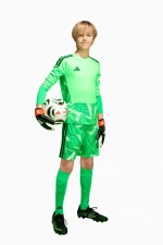 Вратарская кофта adidas Tiro 26 Competition GK Детская - зеленый