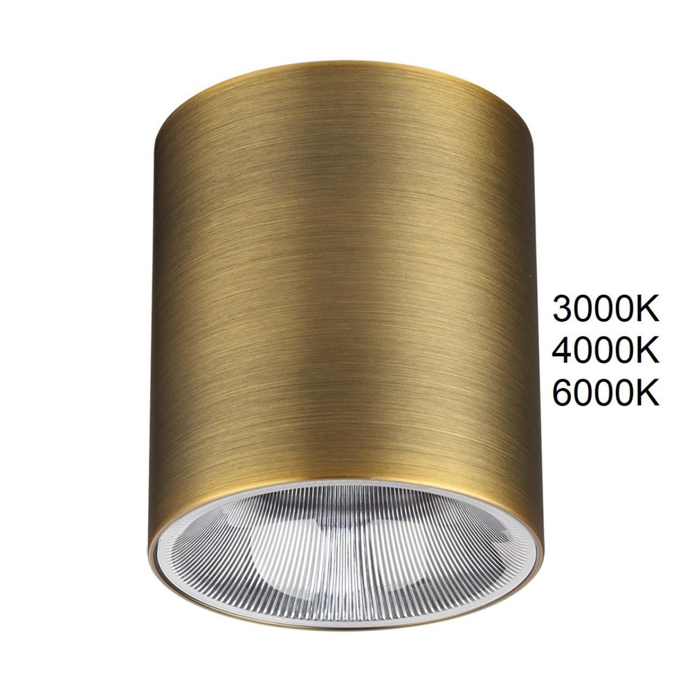 Накладной светодиодный светильник Odeon Light BRIM 7137/12CL