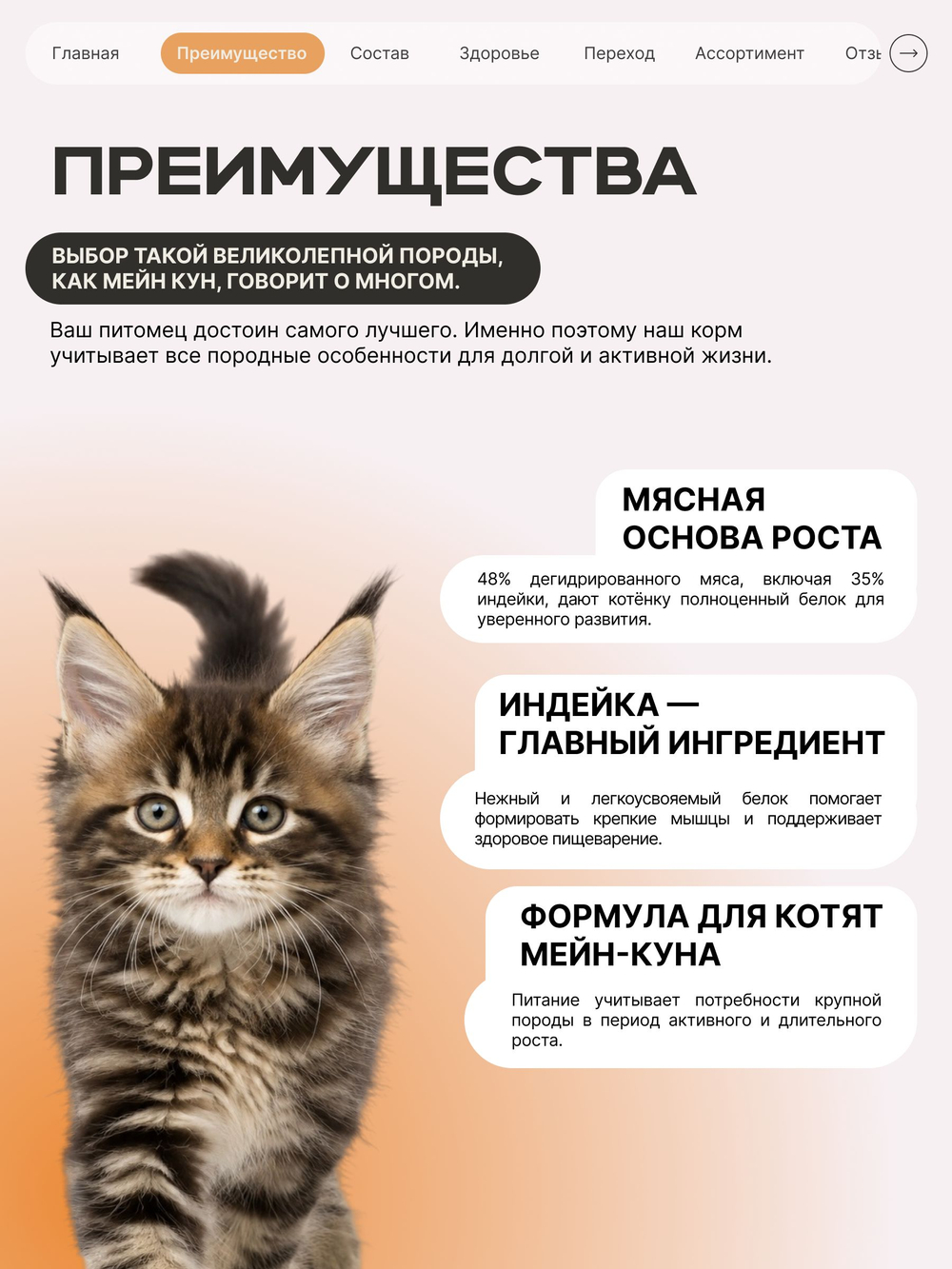 Корм сухой для котят породы Мейн-кун, с индейкой, 2 кг, QUATTRO