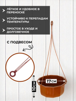 Кашпо для цветов с подвесом 2л, горшок садовый для дачи и сада
