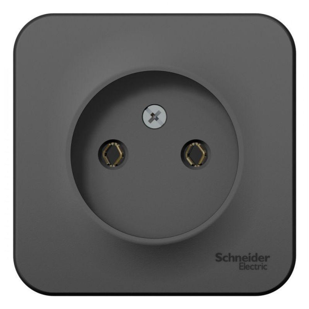 Розетка 1-м ОП Blanca 16А IP20 250В без заземл. без защ. шторок антрацит SE BLNRA000106