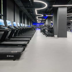 Профессиональная беговая дорожка SHUA SH-T9100T