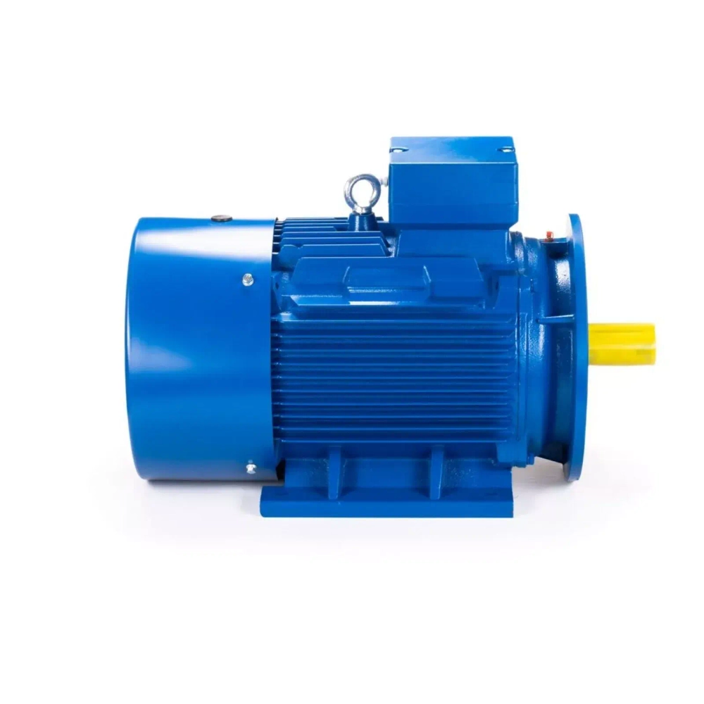 Электродвигатель ESQ 200 LB2-SDN- 37/3000 IMB35