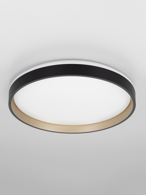 Потолочный светодиодный светильник Citilux Enzo CL753451G