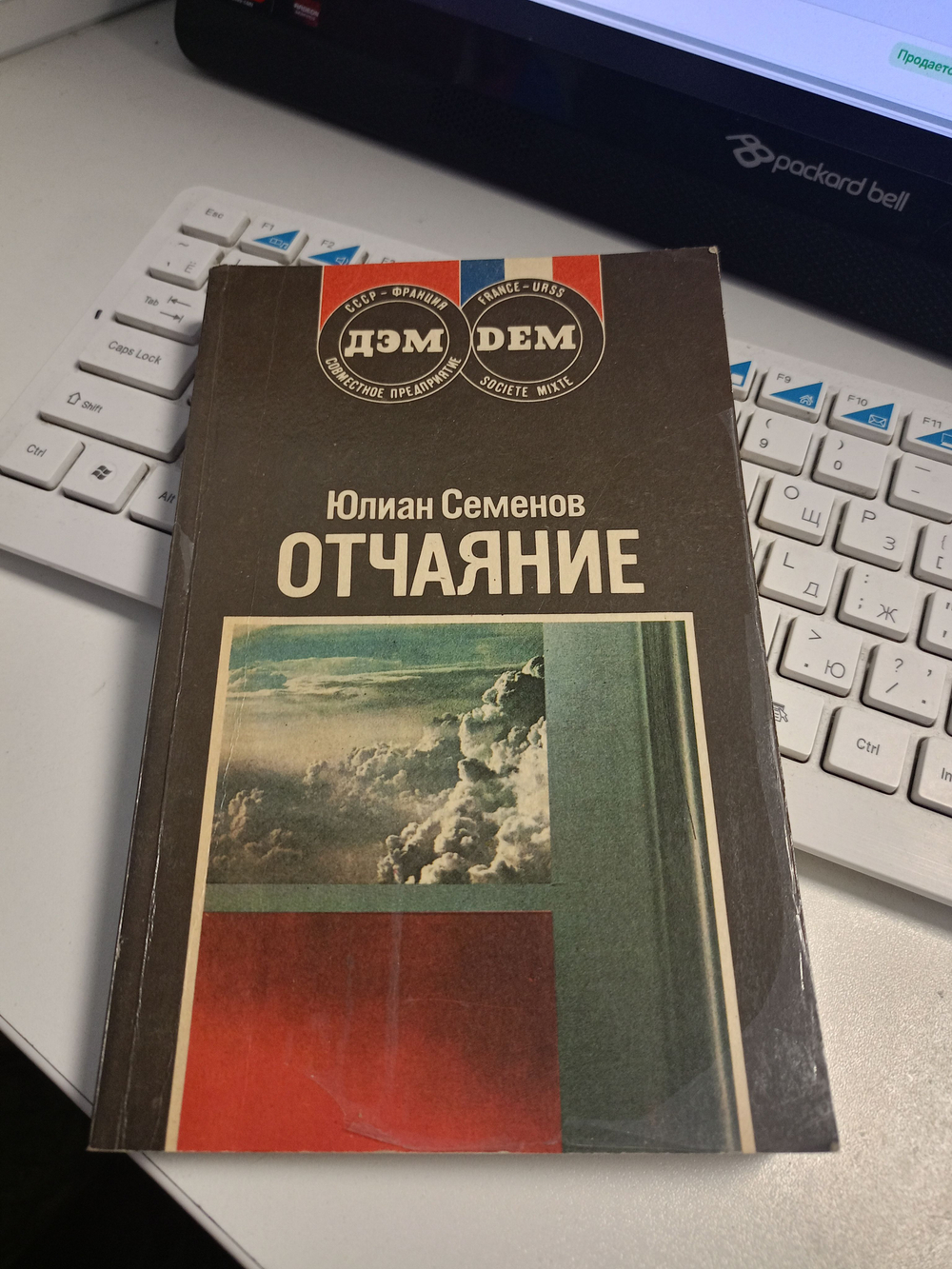 Отчаяние.