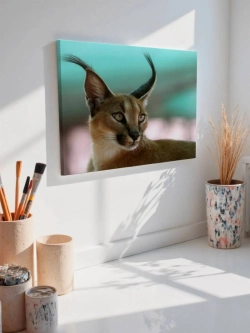 Картина на стену 40 X 50 Пума