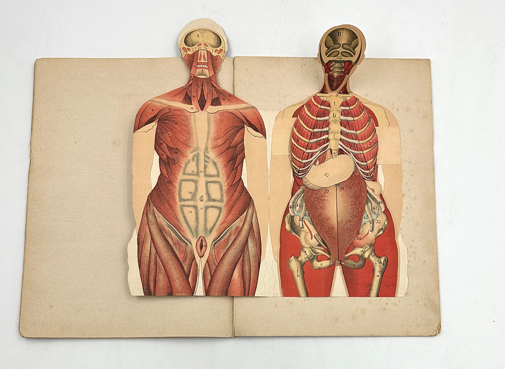 Панцер Г. Женщина. Разъемная модель.  СПб.; Киев; Харьков: Южно-русское изд-во Ф.А. Иогансон, 1907