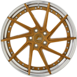 RP FORGED HCS24S