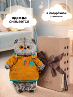 Мягкая игрушка Кот Басик в анораке 22 см Ks22-297