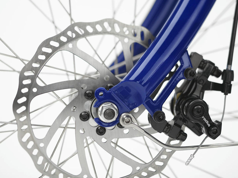 Электровелосипед Electra Cruiser Go! Step Thru Shibori (2022)