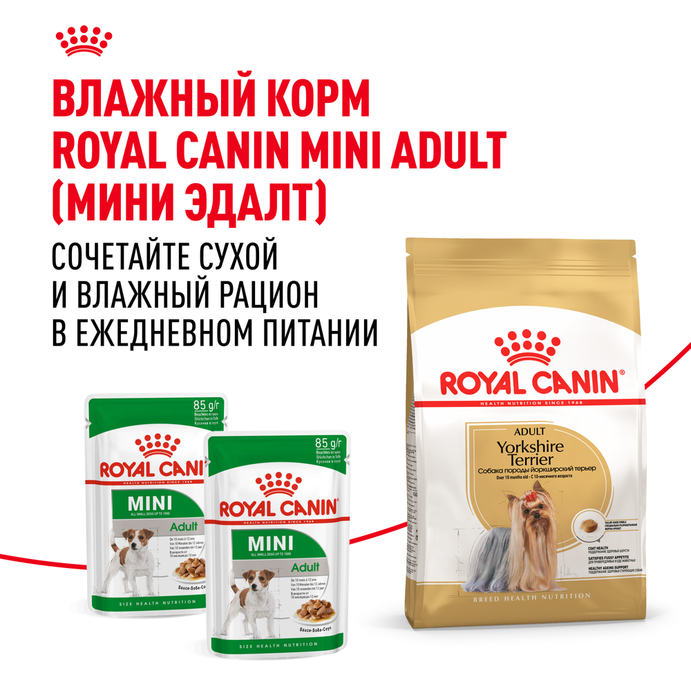 Royal Canin Yorkshire Terrier Adult Йоркширский Терьер Эдалт Корм сухой для взрослых собак породы Йоркширский терьер от 10 месяцев 3кг