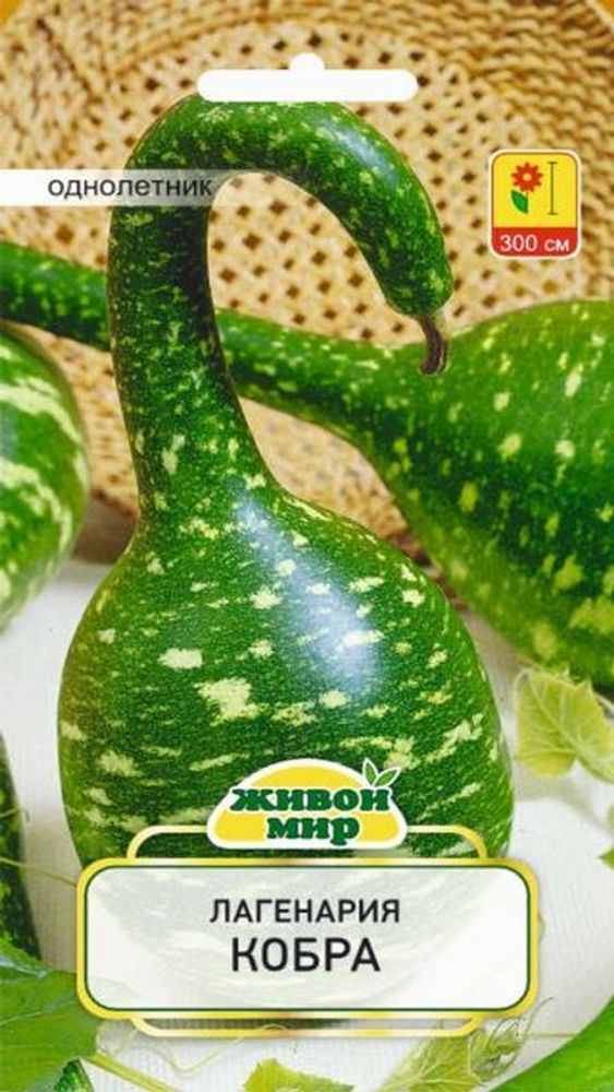 Лaгeнapия &quot;Koбpa&quot; 3шт, Польша.