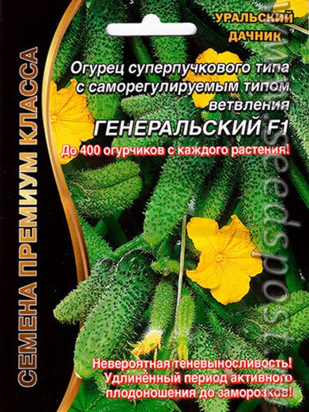 Огурец Генеральский F1 премиум Уральский Дачник