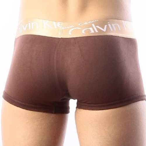 Мужские трусы боксеры коричневые с косой резинкой Calvin Klein Bronze Italics Boxer Brown