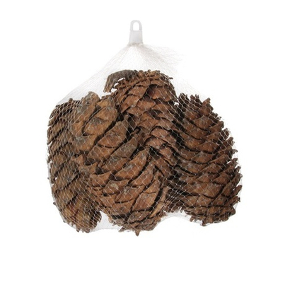 Шишки, 1 кг [Арт. 53061]