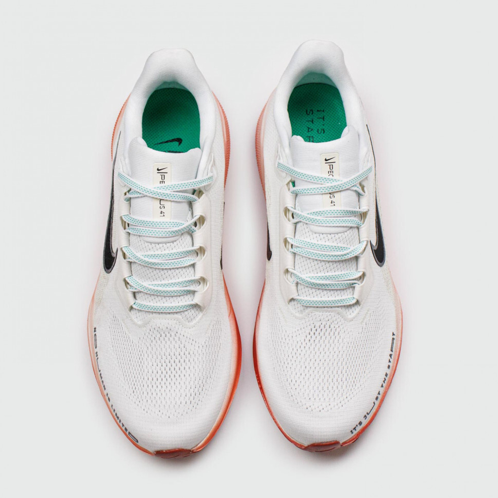 кроссовки Nike Air Zoom Pegasus 41 Eliud Kipchoge Wmns