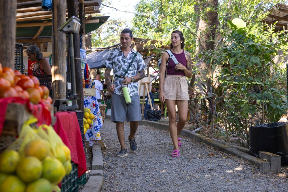 Термокружка Klean Kanteen TKWide Twist Cap 20oz (592 мл) Shadow Lime