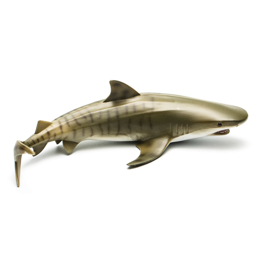 Тигровая акула, большая