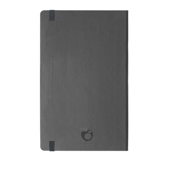 V62MEGRAb