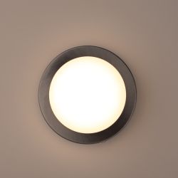 WL25 Подсветка ЭРА Декоративная подсветка GX53 MAX 13W IP44 хром/белый