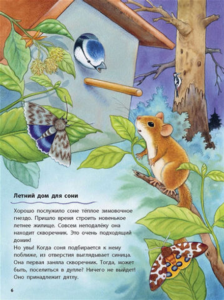 Кто такая орешниковая соня? Познавательные истории. Фридерун Райхенштеттер