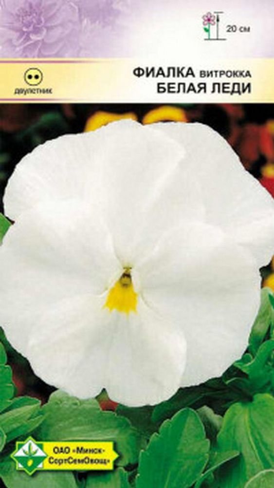 Фиалка витрокка "Белая леди" 0.1г, Германия. Фиалка витрокка "Белая леди" 0.1г, Германия.