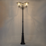 Citilux FORTS CLU10P3 Уличный парковый светильник