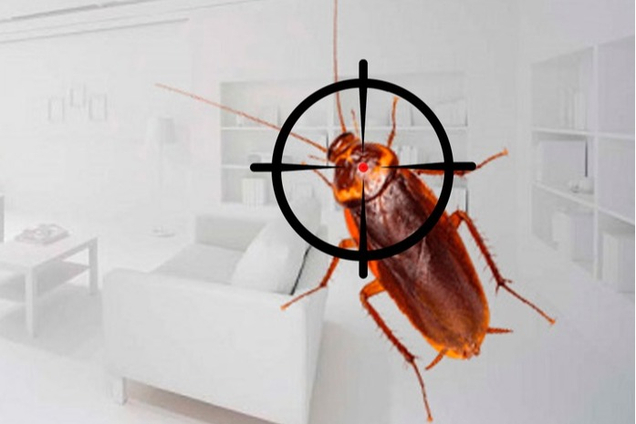 Защитите свой дом с нами!