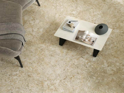 FORTE DEI MARMI QUARK