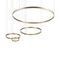 Подвесной светодиодный светильник Loft IT Ring 10017/4M