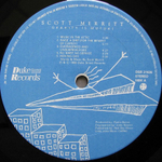 Scott Merritt / Gravity Is Mutual (LP)