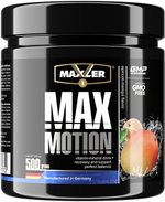 Max Motion
