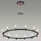 Подвесная светодиодная люстра Odeon Light Candel 5009/48L