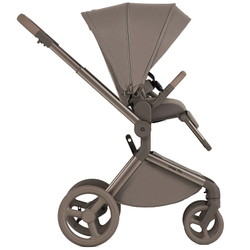 Детская коляска Anex Flo 2 в 1 Yuki