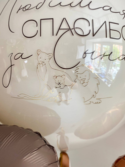 Воздушные шары на выписку мальчика Лев №3483