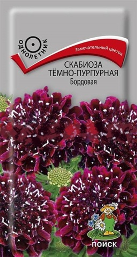 Скабиоза темно-пурпурная Бордовая  0,2гр Поиск