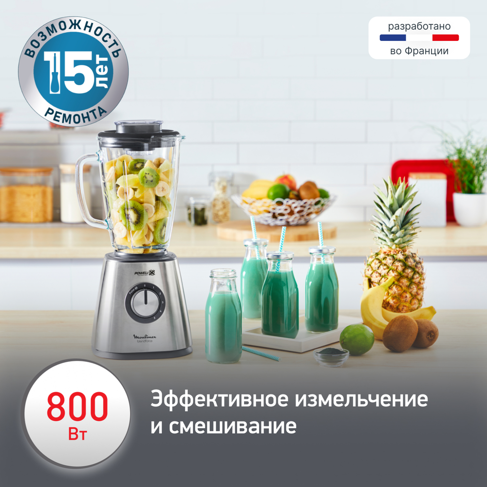 Блендер Moulinex LM439D10