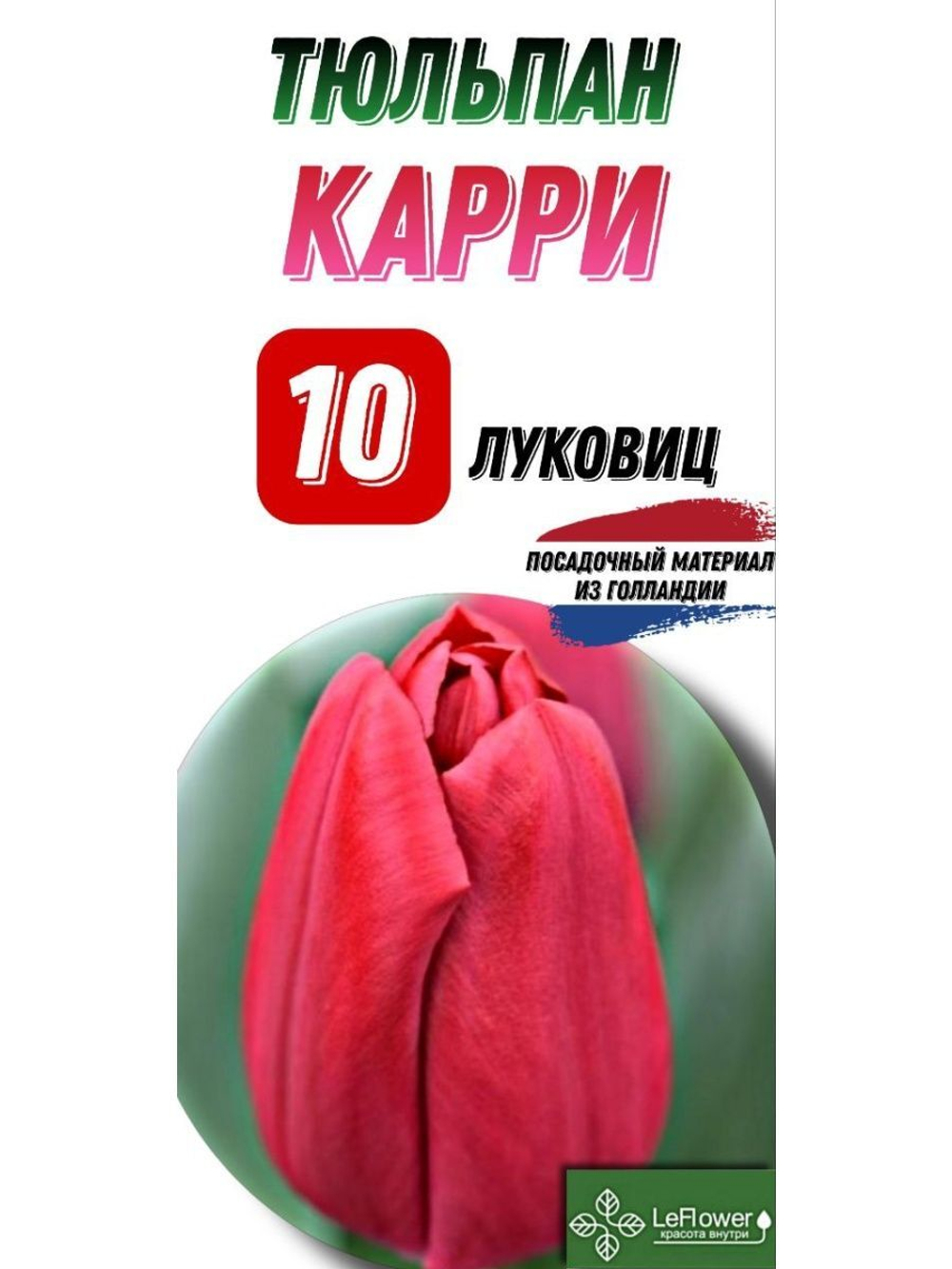 Тюльпан Луковица, Карри, 10шт