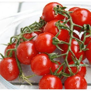 Томат Сомма F1 50 (семян)