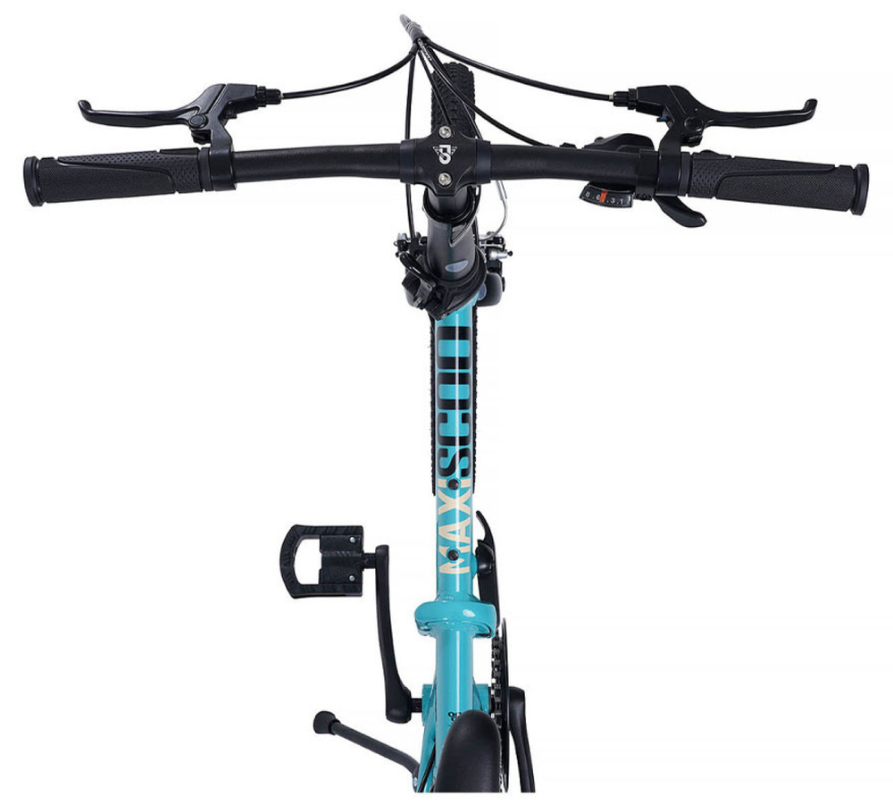 Складной велосипед Maxiscoo S009 20" (2024)