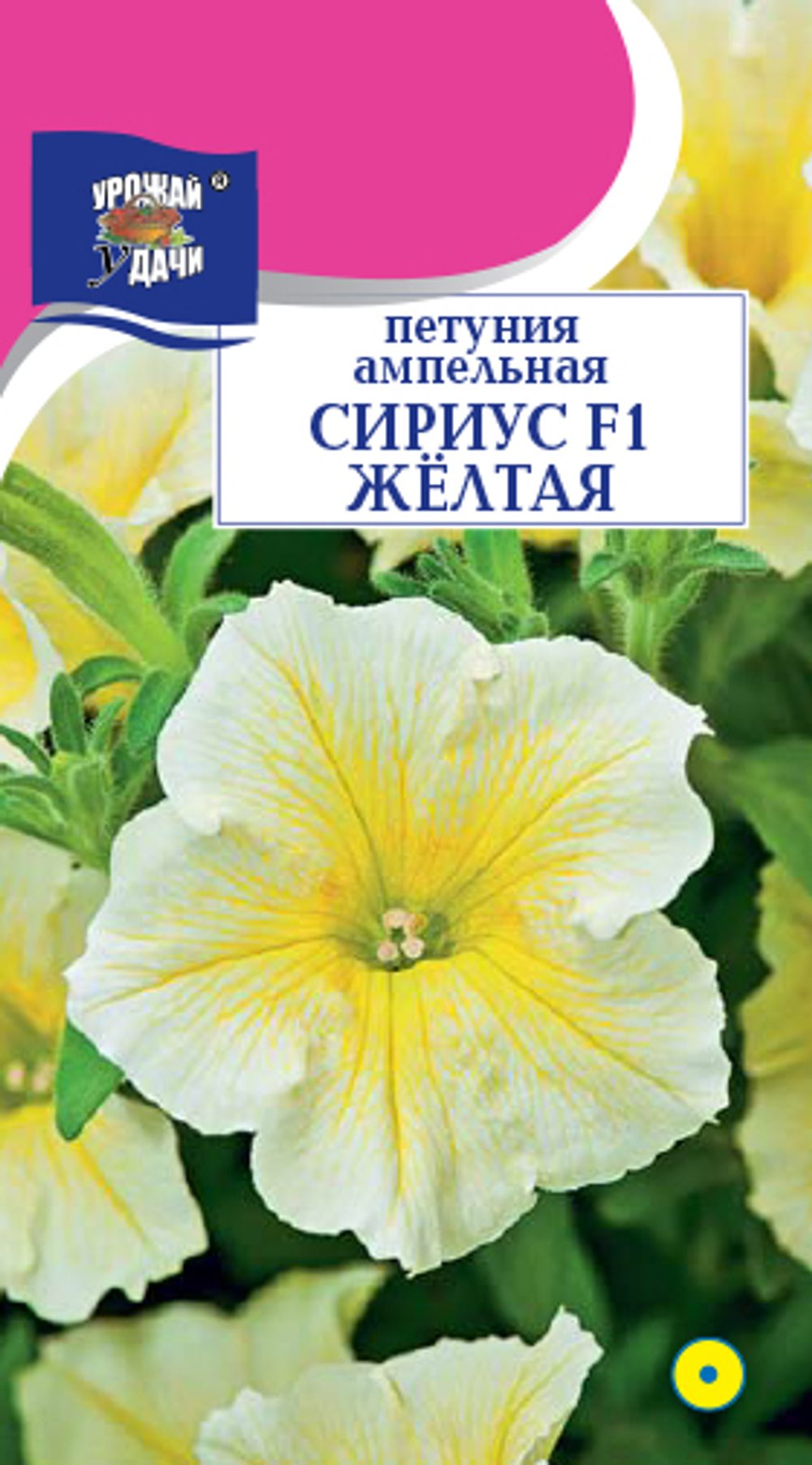 Петуния СИРИУС, Жёлтая, F1, 10шт УУ