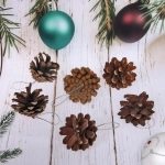 Украшение новогоднее «Шишки лесные» 5,5 см (набор 6 шт)