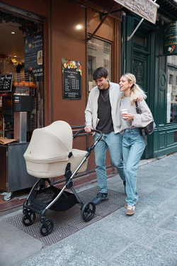 Детская коляска Anex iQ Premium NT 2 в 1 iQ-13-DNA seal