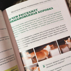 Ольга Кажарская. Нескучная школа. (Развивающие игры для собак)