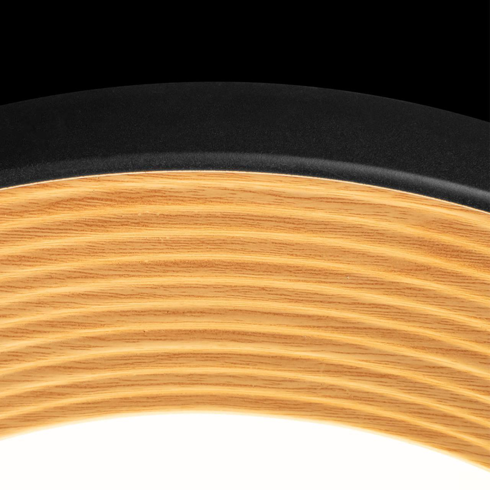 Потолочный светодиодный светильник Loft It Folk 10255/500 Black